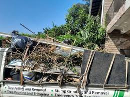 Best Shed Removal  in Three Rivers, MI